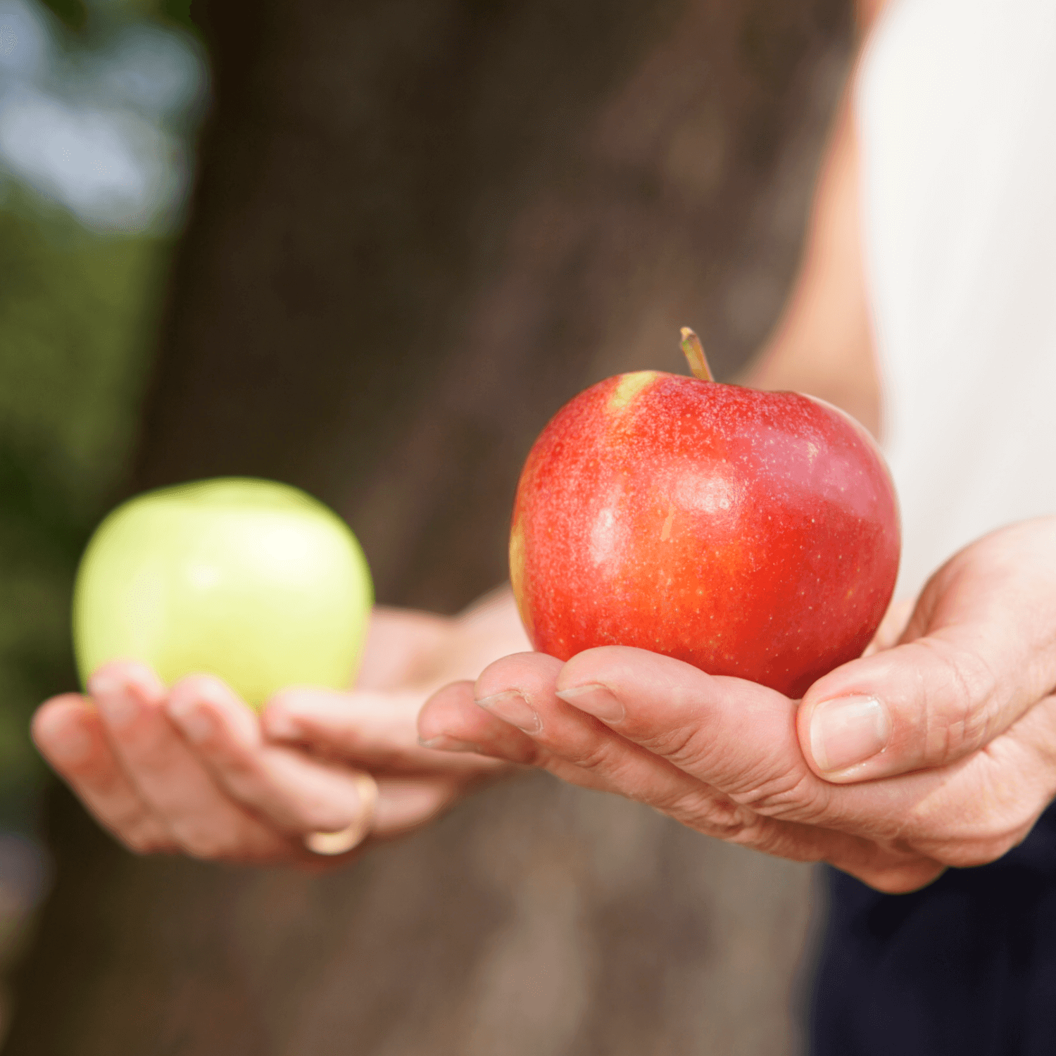 Unternehmen weiterentwickeln Fusionen Äpfel